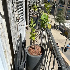 Historique Vieux Port Appartement Marseilles